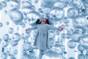 Museo del Globo de Chicago - EmotionAir - Entrada flexible