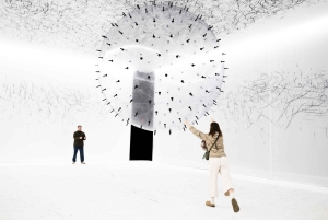 Museo del Globo de Chicago - EmotionAir - Entrada flexible