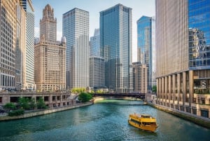 Il meglio di Chicago: Tour privato a piedi con un abitante del luogo