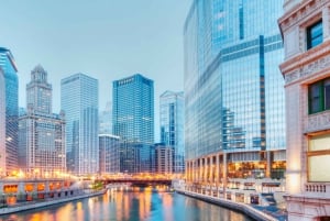 Il meglio di Chicago: Tour privato a piedi con un abitante del luogo