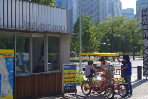 Bike and Roll Chicago: aluguel diurno de bicicletas