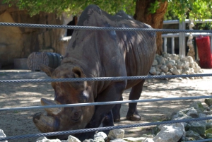 Chicagos fantastiske cykeltur ved søen