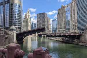 Chicago : Visite à pied des merveilles de l'architecture et de l'ingénierie