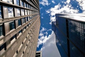 Chicago : Visite à pied des merveilles de l'architecture et de l'ingénierie