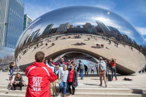 Must-see in Chicago: Architectuur, Geschiedenis & Cultuur Tour