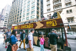 Chicago: Crociera sul fiume dell'architettura e tour in autobus Hop-on Hop-off