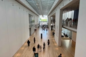 Chicago : Art Institute Skip te Line 2H Guidet rundvisning