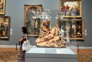 Chicago : Art Institute Skip te Line 2H Guidet rundvisning