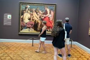Chicago : Art Institute Skip te Line 2H Guidet rundvisning