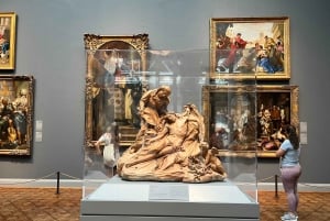 Chicago : Art Institute Skip te Line 2H Guidet rundvisning