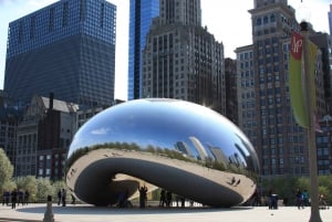 Chicago: Kunst van een stad, Downtown Chicago rondleiding met gids