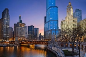 Chicago: L'arte di una città, Tour guidato della città di Chicago