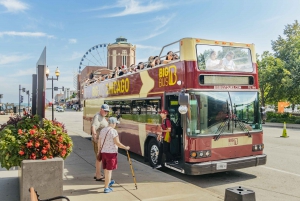 Chicago: Hop-on Hop-off Sightseeing Tour by Open-top Bus