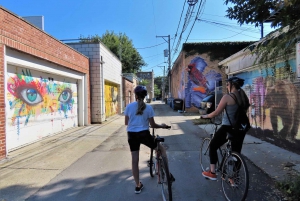 Chicago Bike Adventures: Paseos en bici por los barrios