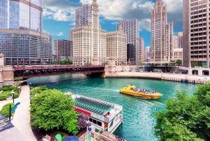 Tour in autobus delle icone di Chicago da Toronto