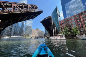 Chicago: Characters and Cons Guided Kayak Tour
