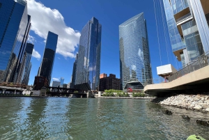 Chicago: Characters and Cons Guided Kayak Tour