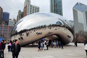 Chicago: Byminibusstur med valgfritt arkitekturcruise