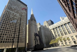 Tour por la ciudad de Chicago en Español