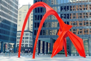 Tour por la ciudad de Chicago en Español