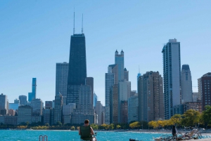 Chicago: Tour privado personalizable en coche por los paisajes de Chicago