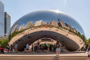 Chicago: Privat sightseeingtur, der kan tilpasses