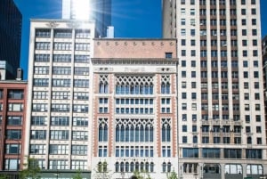 Chicago Downtown Highlights Private Walking Tour