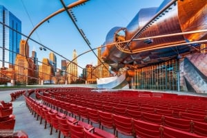 Chicago Downtown Highlights Private Walking Tour