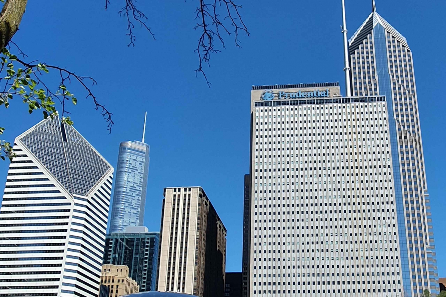 Rundtur i Chicagos centrum