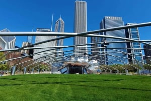 Rundtur i Chicagos centrum