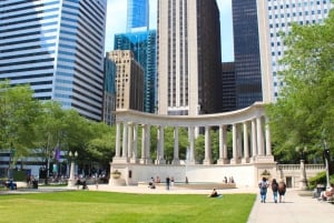Chicago Downtown Walking Tour & Lake Michigan Cruise Tickets