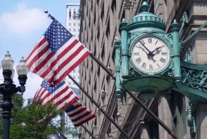 Chicago Downtown Walking Tour & Lake Michigan Cruise Tickets