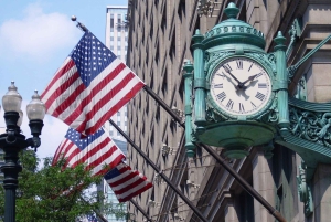 Visite à pied du centre-ville de Chicago et croisière sur le lac Michigan - Billets