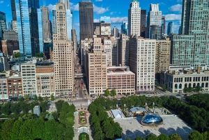 Visite à pied du centre-ville de Chicago et croisière sur le lac Michigan - Billets