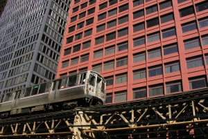 Chicago: tour a piedi di architettura elevata