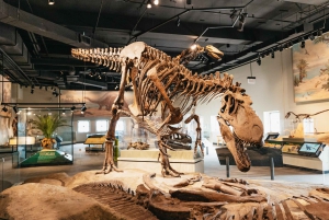 Chicago: Field Museum of Natural History Biljett eller VIP-tur