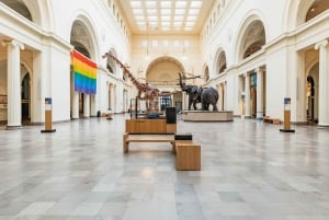 Chicago: Ingresso para o Field Museum of Natural History ou excursão VIP
