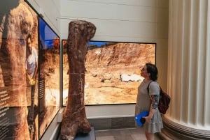 Chicago: Field Museum of Natural History Ticket de entrada o Visita VIP