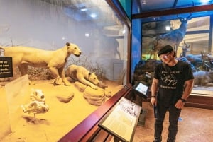 Chicago: Biglietto o tour VIP del Field Museum of Natural History