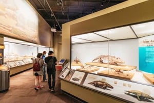 Chicago: Bilet do Muzeum Historii Naturalnej Fielda lub wycieczka VIP