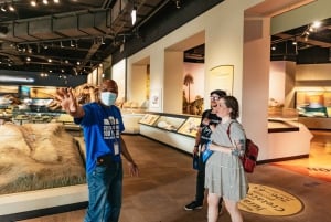 Chicago: Billett til Field Museum of Natural History eller VIP-tur