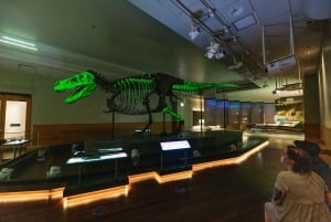 Chicago: Field Museum of Natural History Ticket of VIP Tour