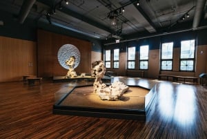 Chicago: Ingresso para o Field Museum of Natural History ou excursão VIP