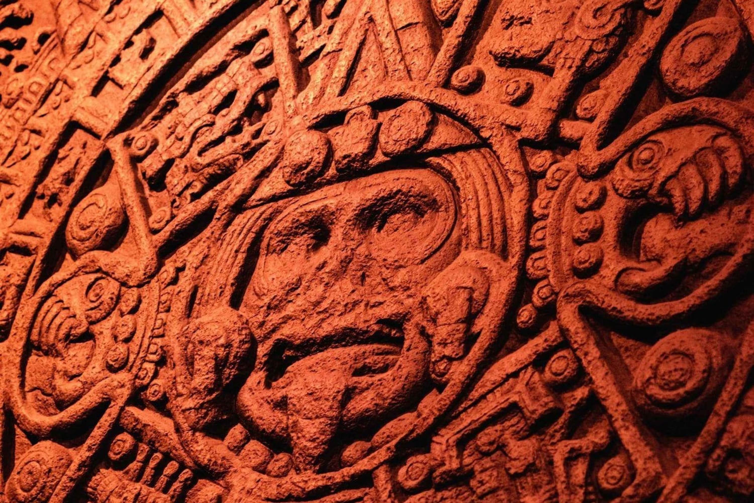 Chicago: Field Museum Ticket & Digital Tour