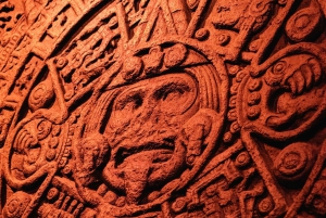 Chicago: Field Museum Ticket & Digital Tour