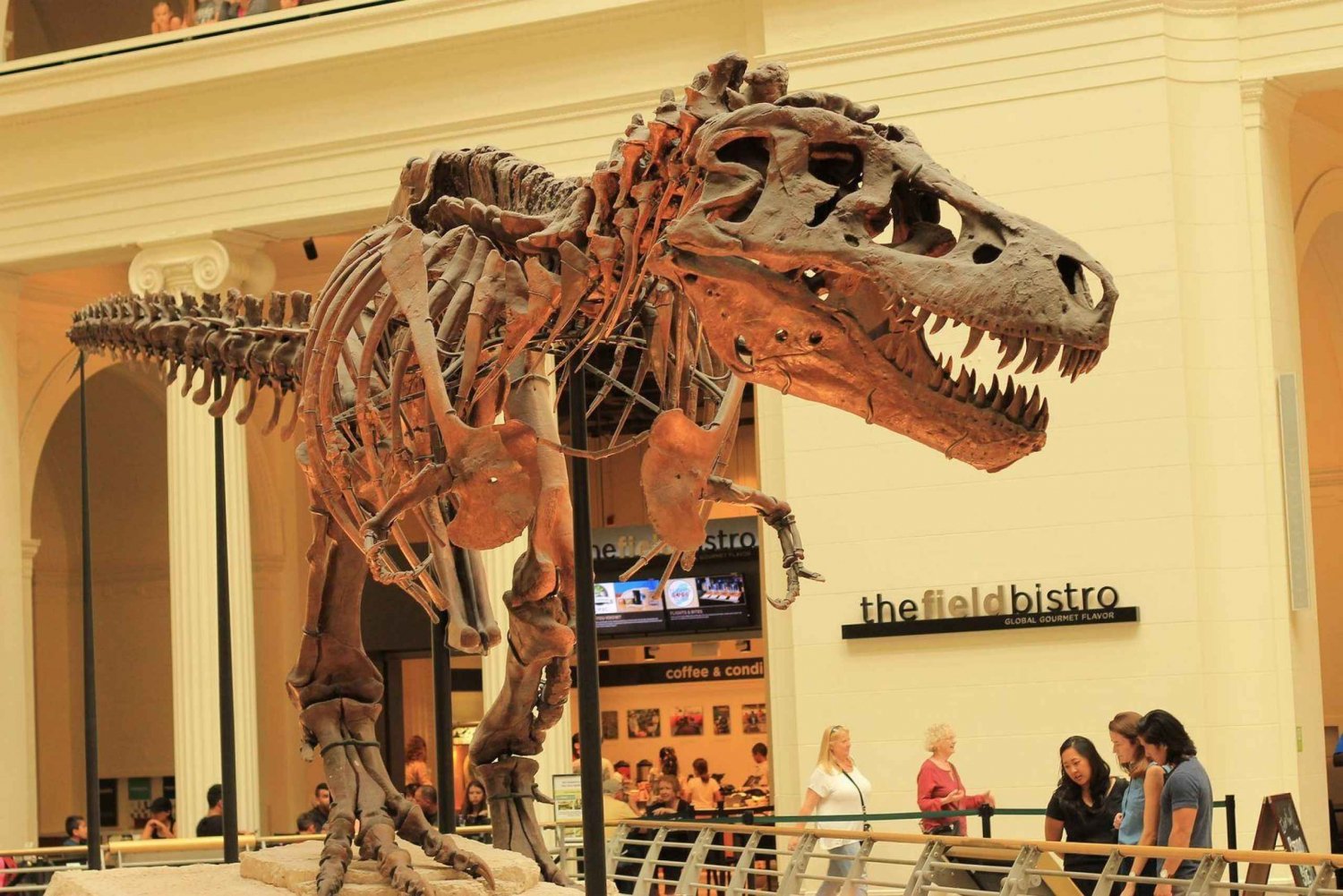 Chicago : Field Museum Ticket & In-App Audio Tour (ENG)