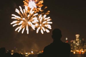 Chicago: Crociera con cena a buffet con fuochi d'artificio sul lago Michigan