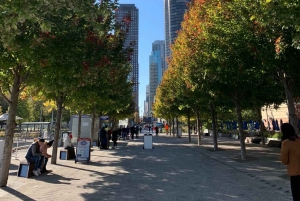 Chicago: Tour guiado de la ciudad en autobús de día completo