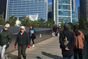 Chicago: Tour guidato della città di una giornata intera in autobus