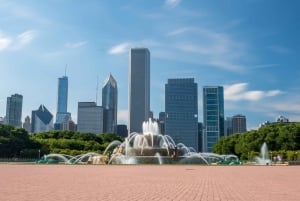 Chicago: Heldags- eller halvdagssykkelutleie